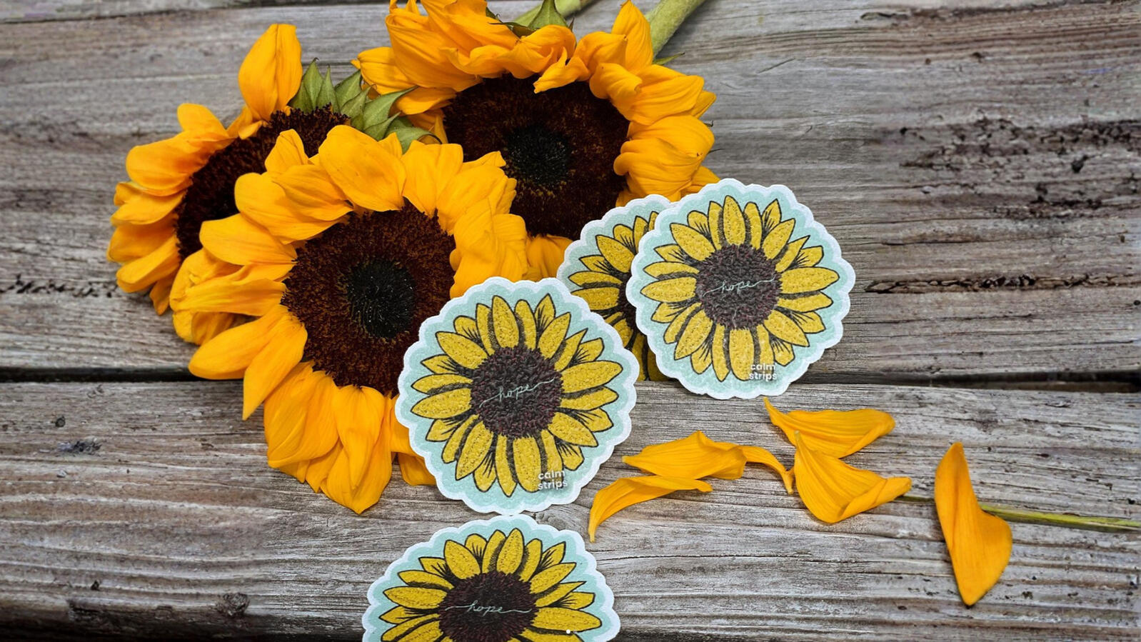 Calm Strips flowers Calm Strips flowers