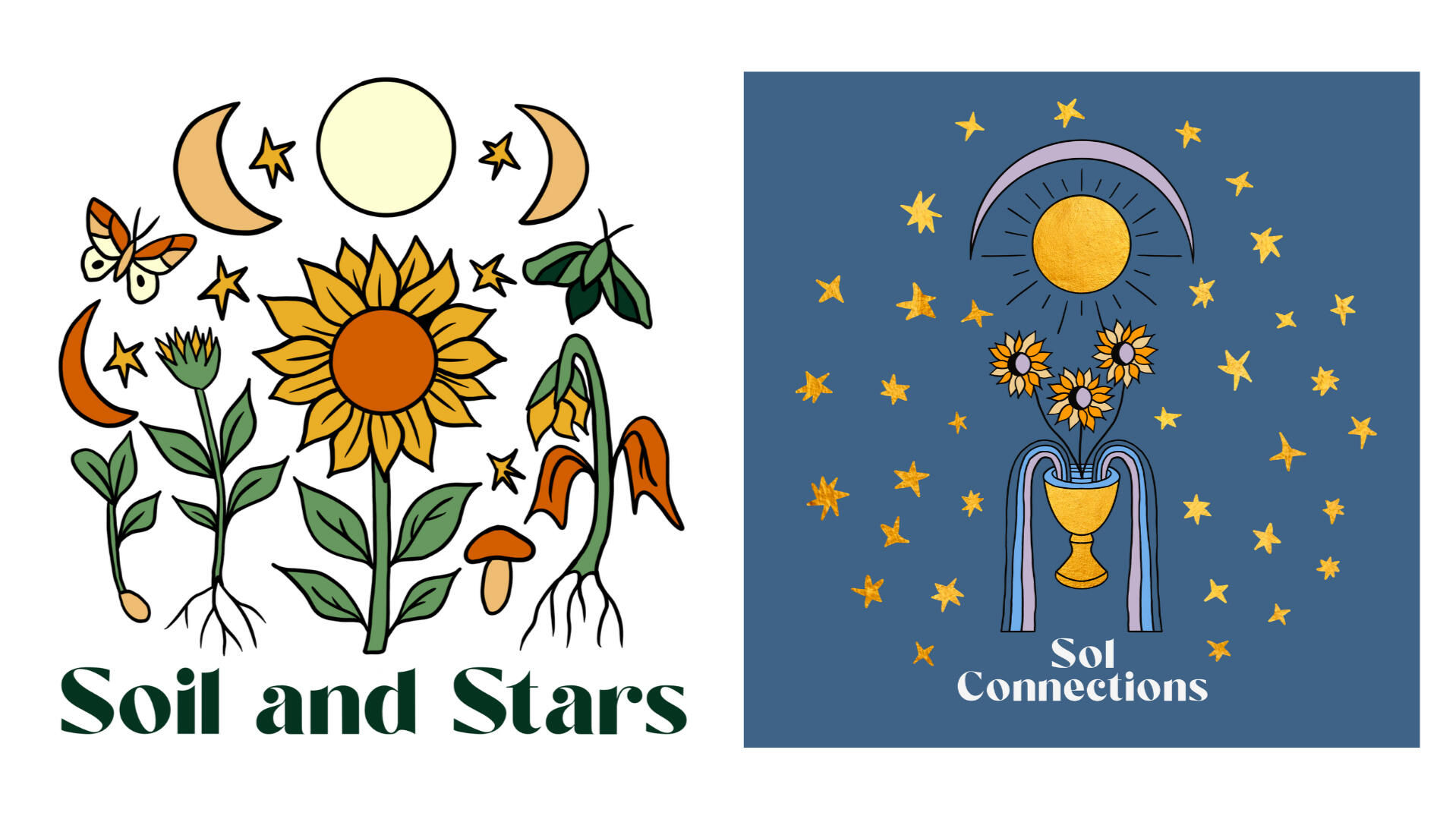 Soil and Stars & Sol Connections